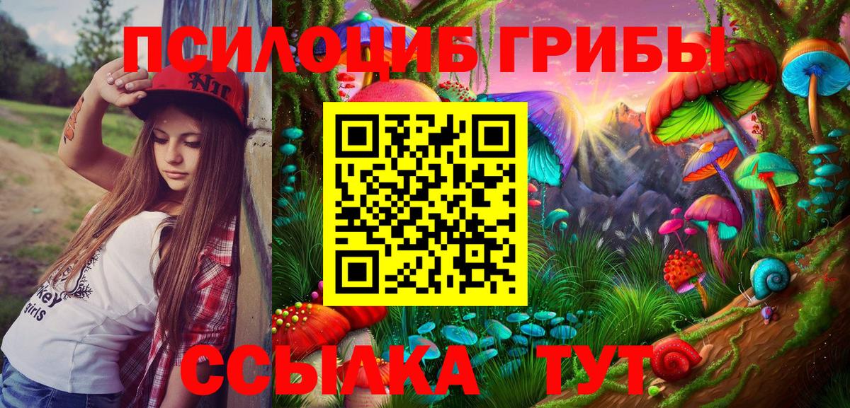 Тихорецк  Псилоцибиновые грибы прущие грибы  Галлюциногенные грибы GOLDEN TEACHER  Вход с VPN 