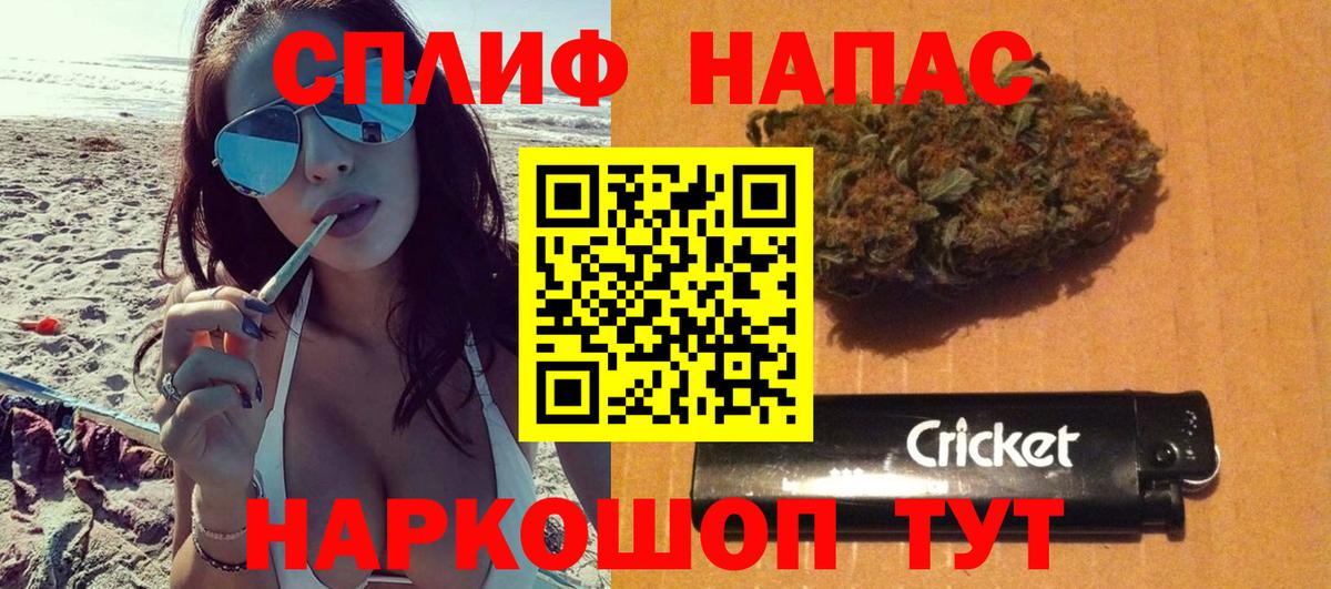 Каннабис план Тихорецк